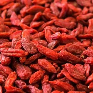 lycii berry / goji berry