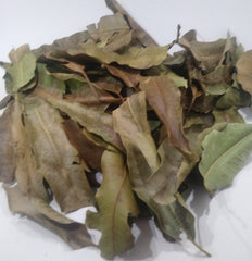Mango Leaf