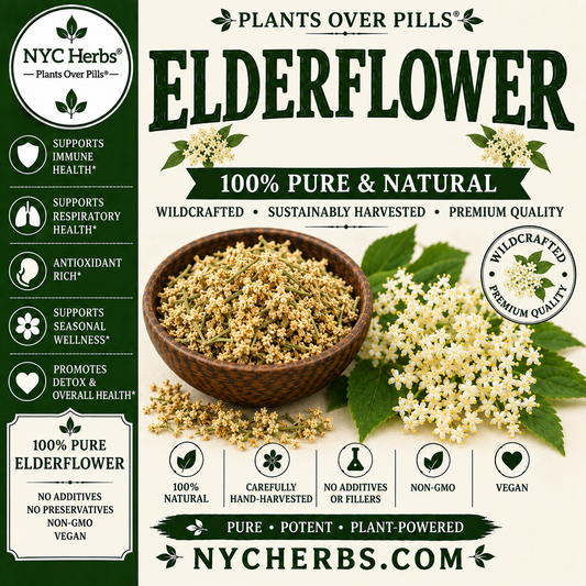 Elderflower | Immune Support & Gentle Detox