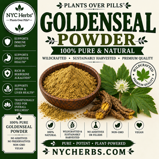 Goldenseal Root | Immune Defense, Mucus Membrane Support