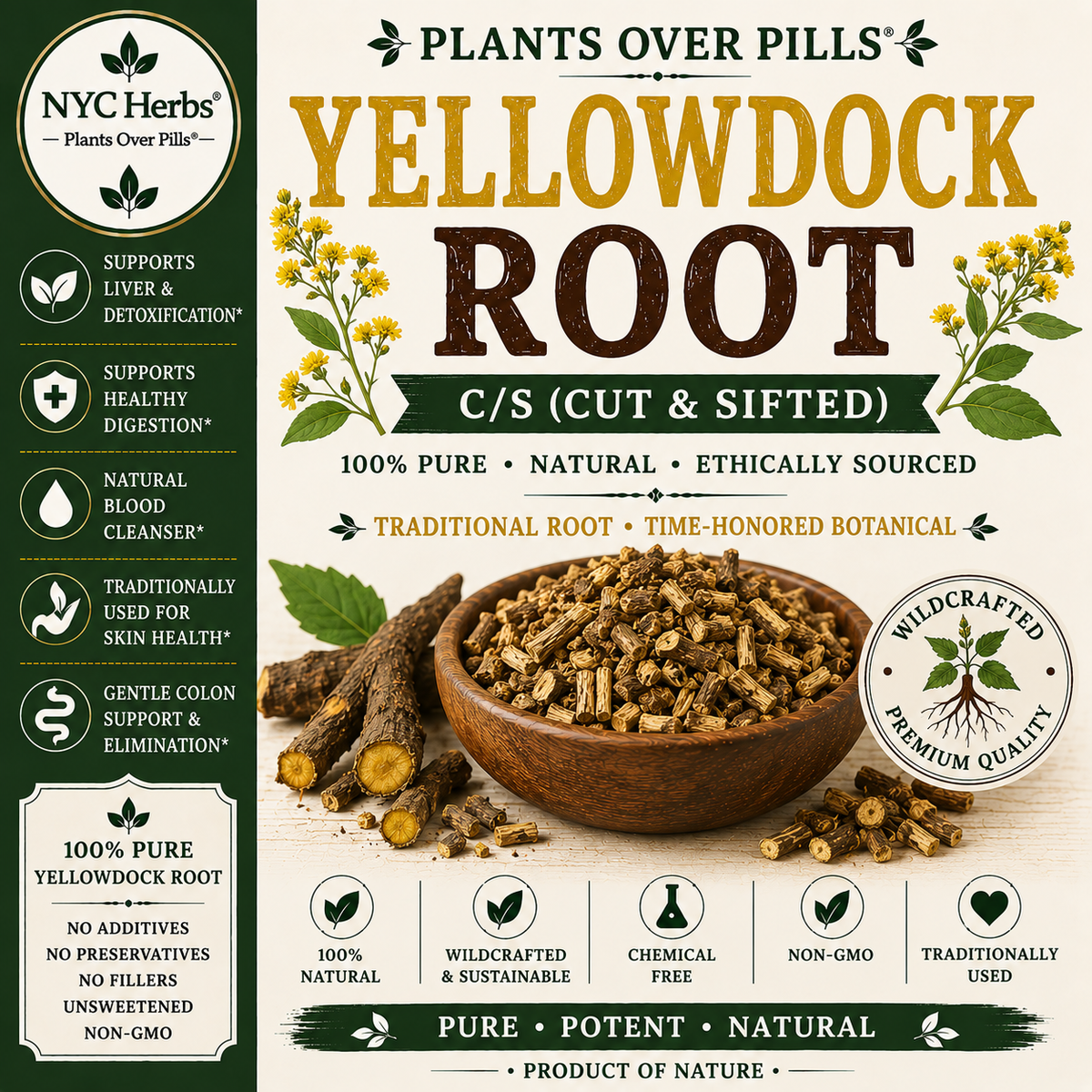 Yellow Dock Root c/s (Rumex crispus)