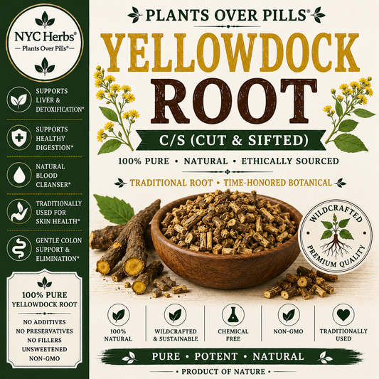 Yellow Dock Root c/s (Rumex crispus)