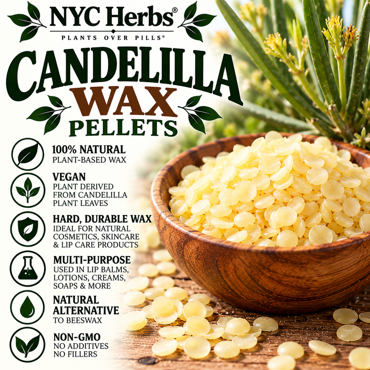 Candelilla Wax pellets