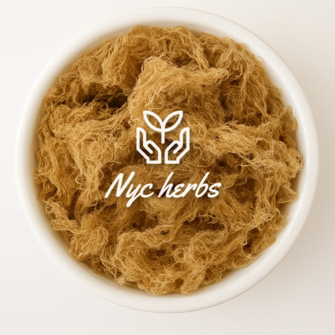 🌊 Irish Moss (Sea Moss) | Mineral Nourishment & Respiratory Comfort | NYCherbs®