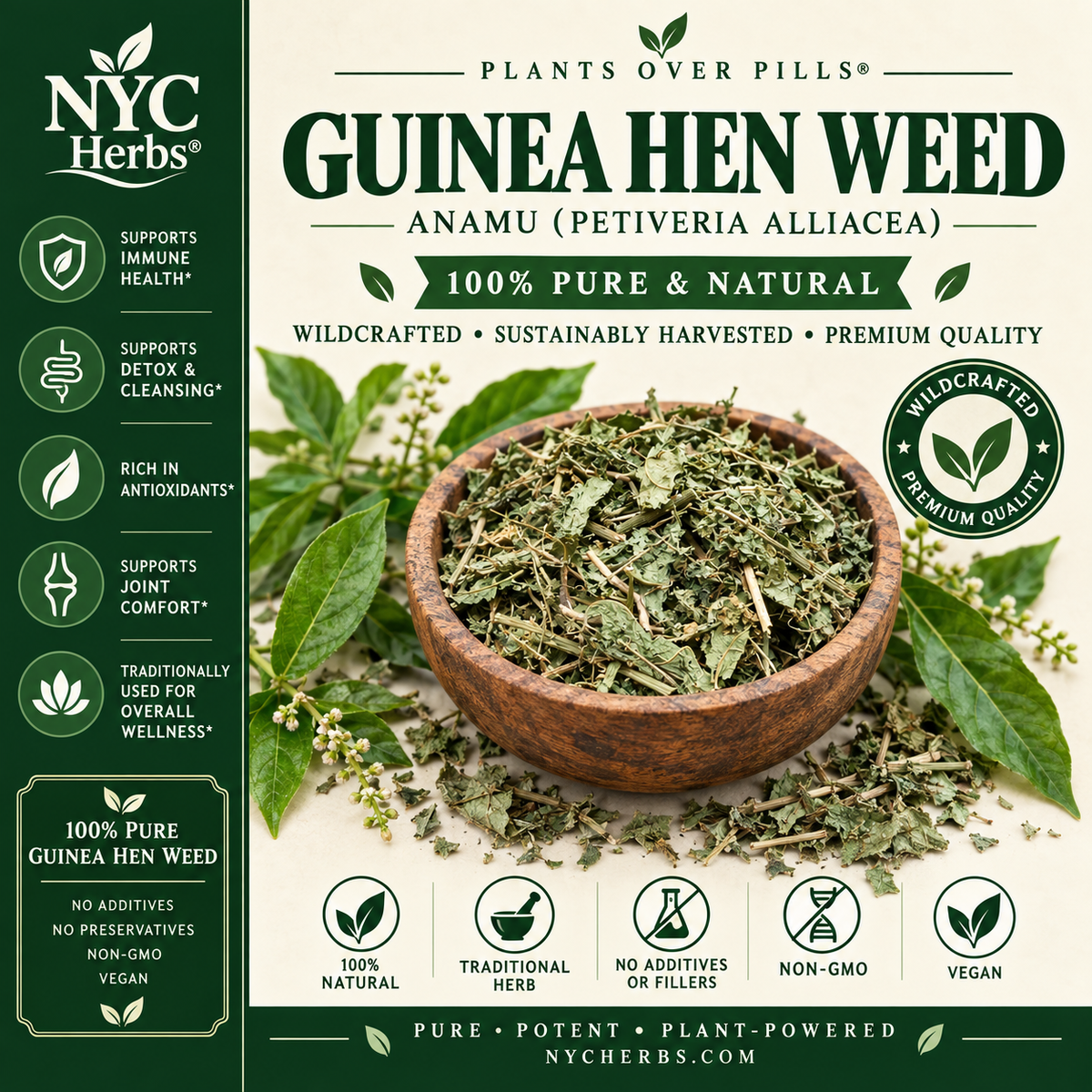 Jamaican Guinea Hen Weed (Anamu)
