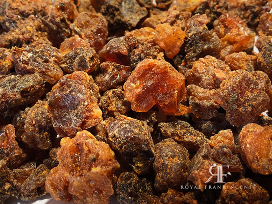 Myrrh Gum | Antimicrobial Cleanse & Spiritual Purifier