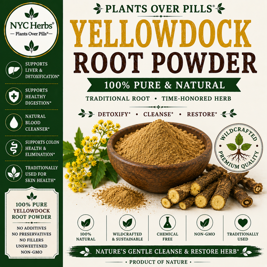 Yellow Dock Powder (Rumex crispus)