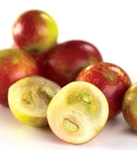 Camu Camu powder