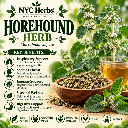 Horehound | Respiratory Relief & Digestive Aid