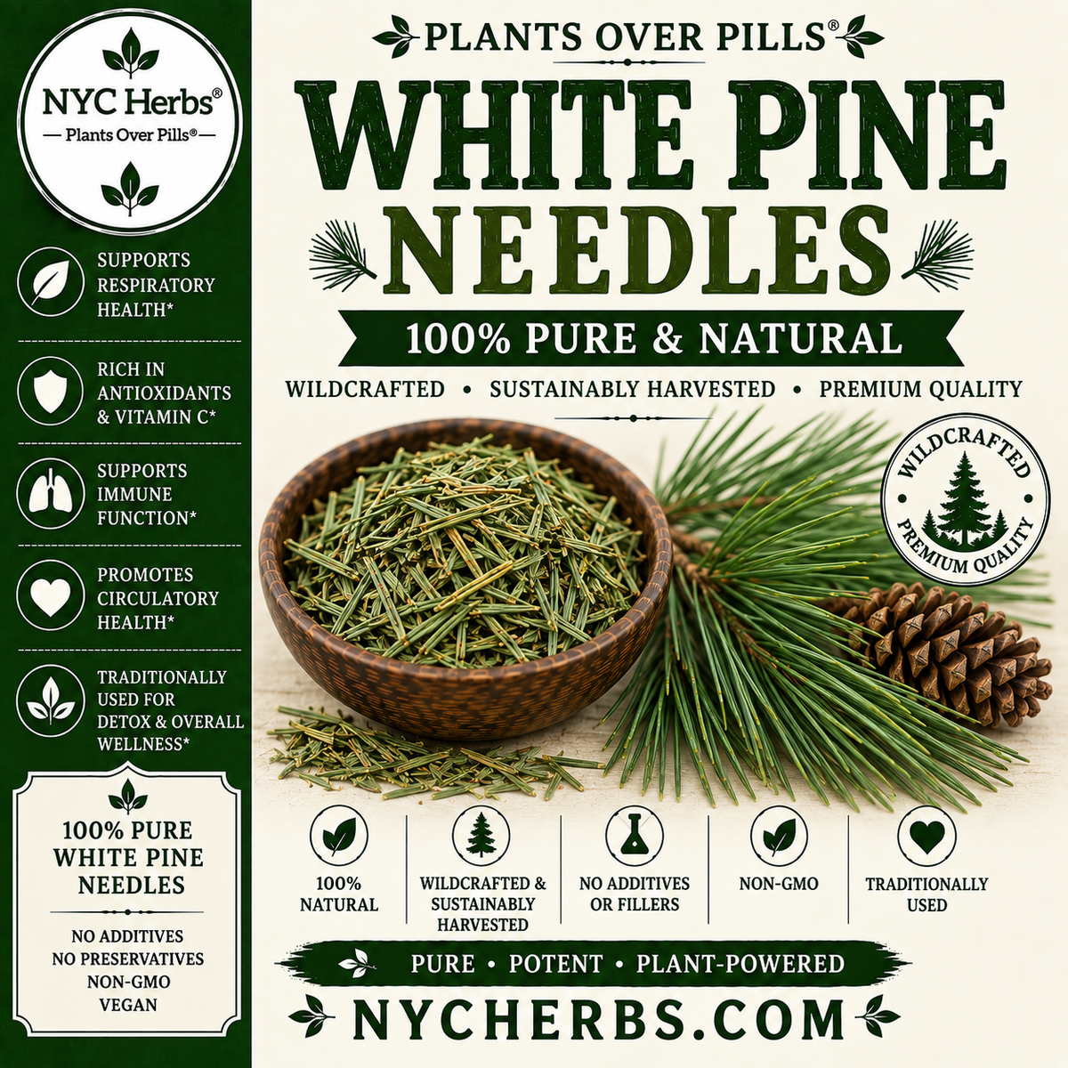 White Pine Needle | Lung Support, Immunity & Deep Cleansing