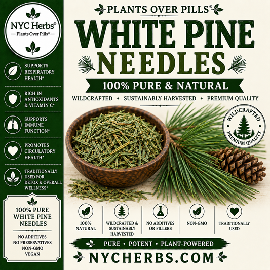 White Pine Needle
