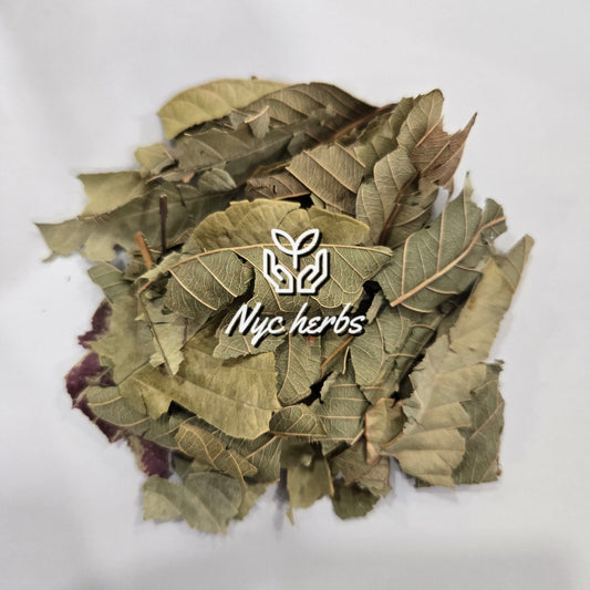 Guava Leaf | Blood Sugar Balance & Digestive Support