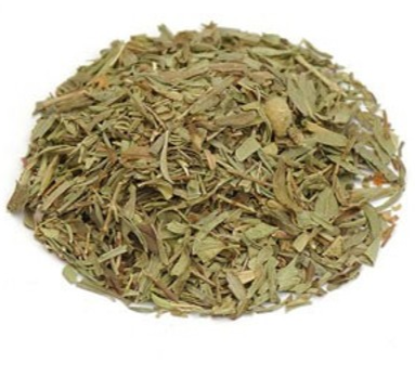 Savory Herb