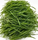 Wheatgrass Powder