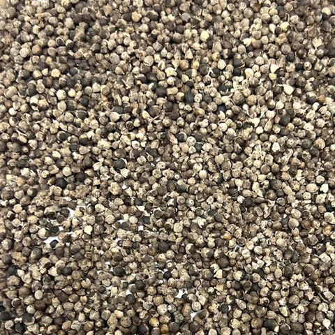 Chaste Berry (Vitex agnus-castus)