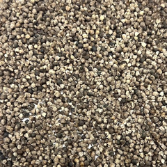 Chaste Berry (Vitex agnus-castus)