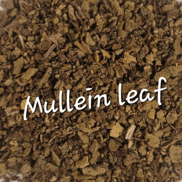 Mullein Leaf