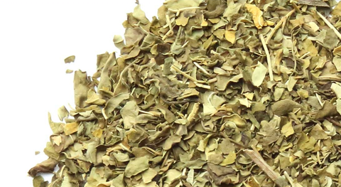 Hoja de Moringa