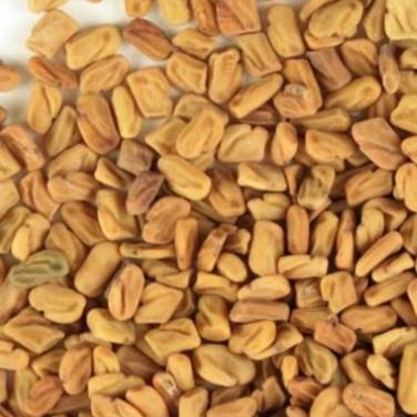 Fenugreek Seeds