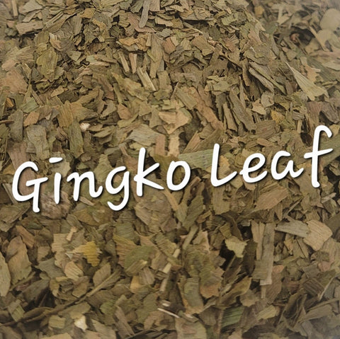 GINKGO LEAF