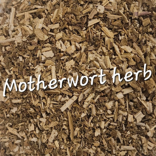 Motherwort (Leonurus cardiaca)